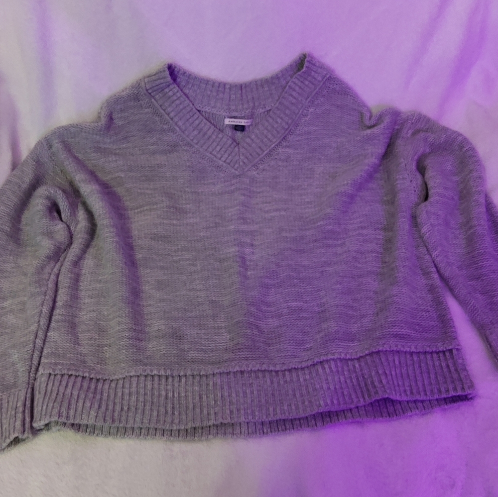 American Eagle Outfitters Light Gray V-Neck Sweater